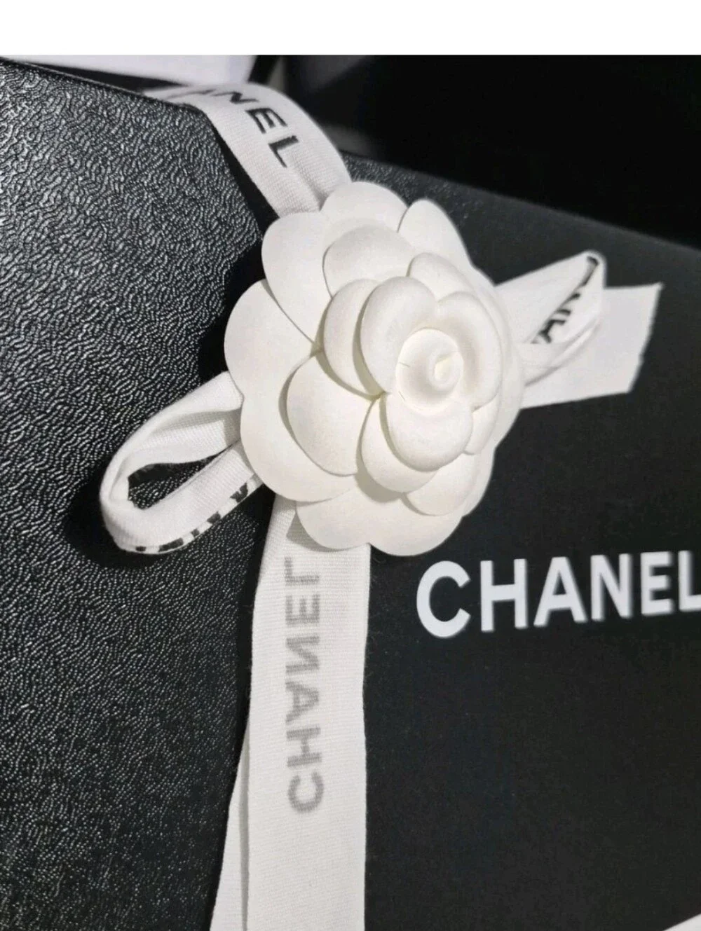 Chanel Lot of Empty Shoe Boxes + Dust Bags + Pouch + Shopping Paper Bag ...